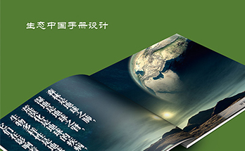营销咨询案例