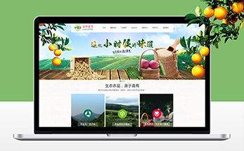 （营销网站定制）嘉有农品